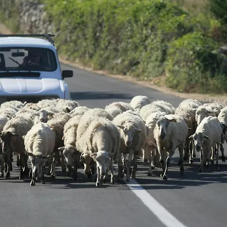 Alpehytte Mountain Mia